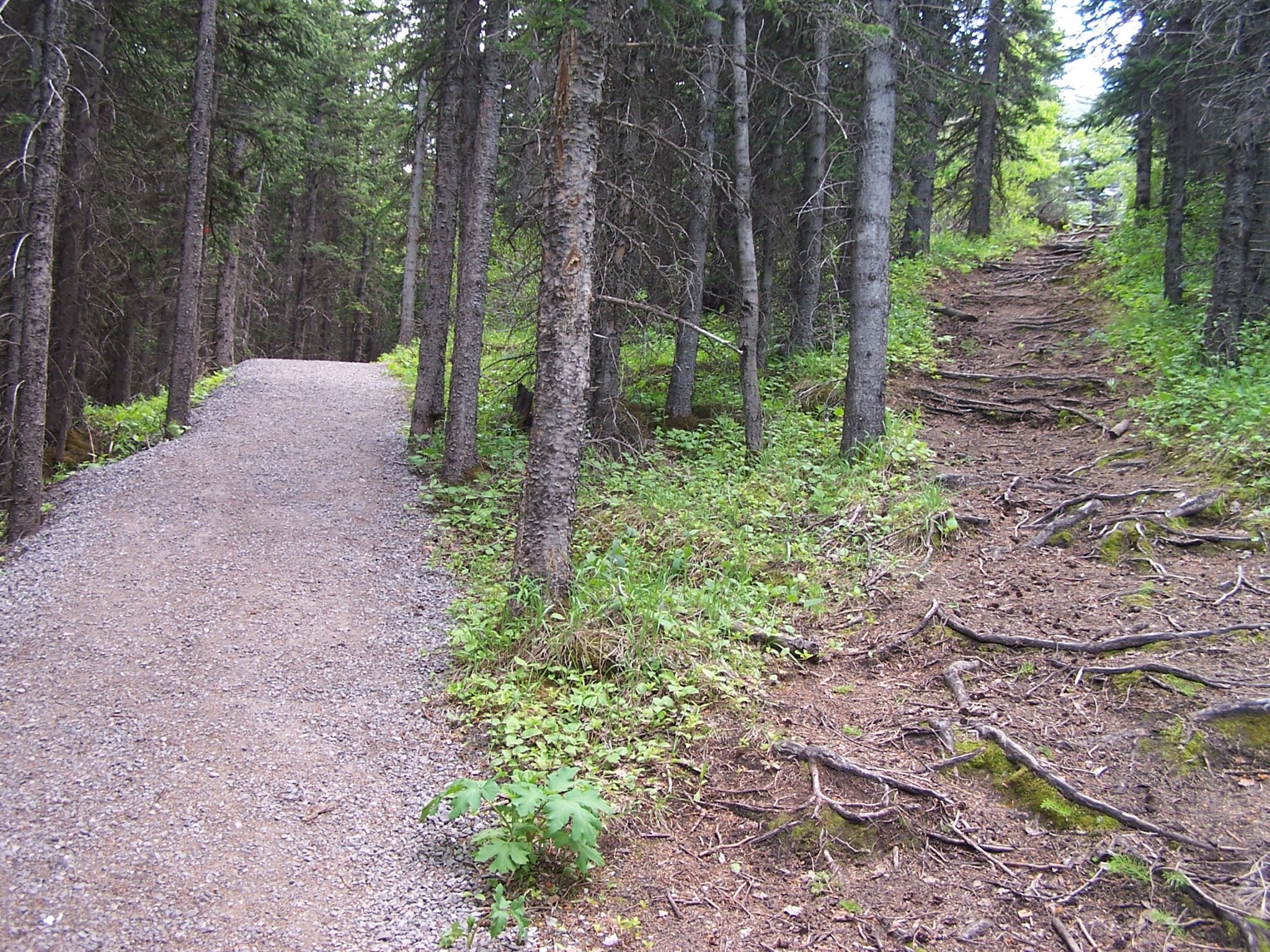 What Path Are You On?