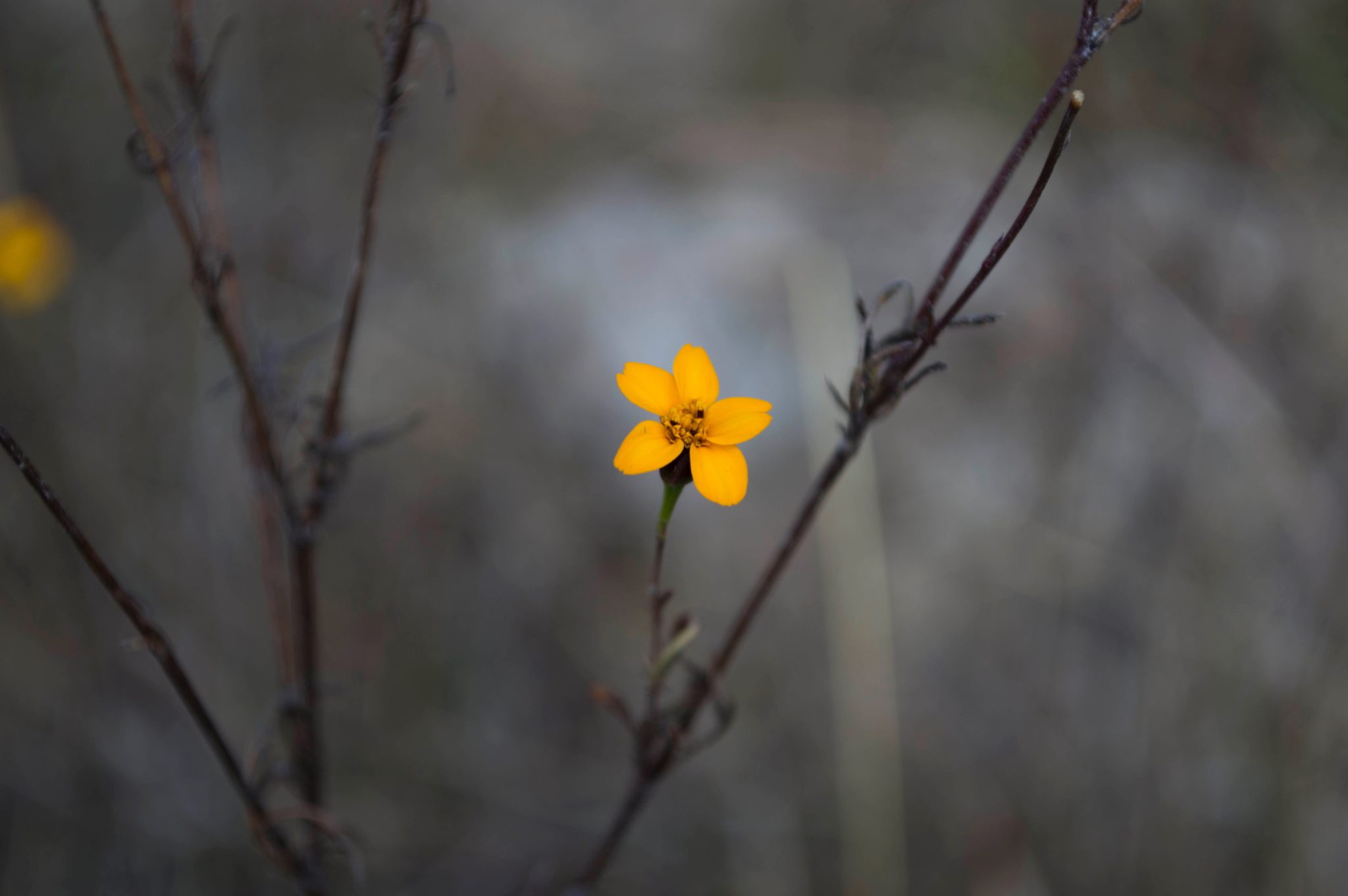 Six Reasons to Meditate on the Brevity of Life