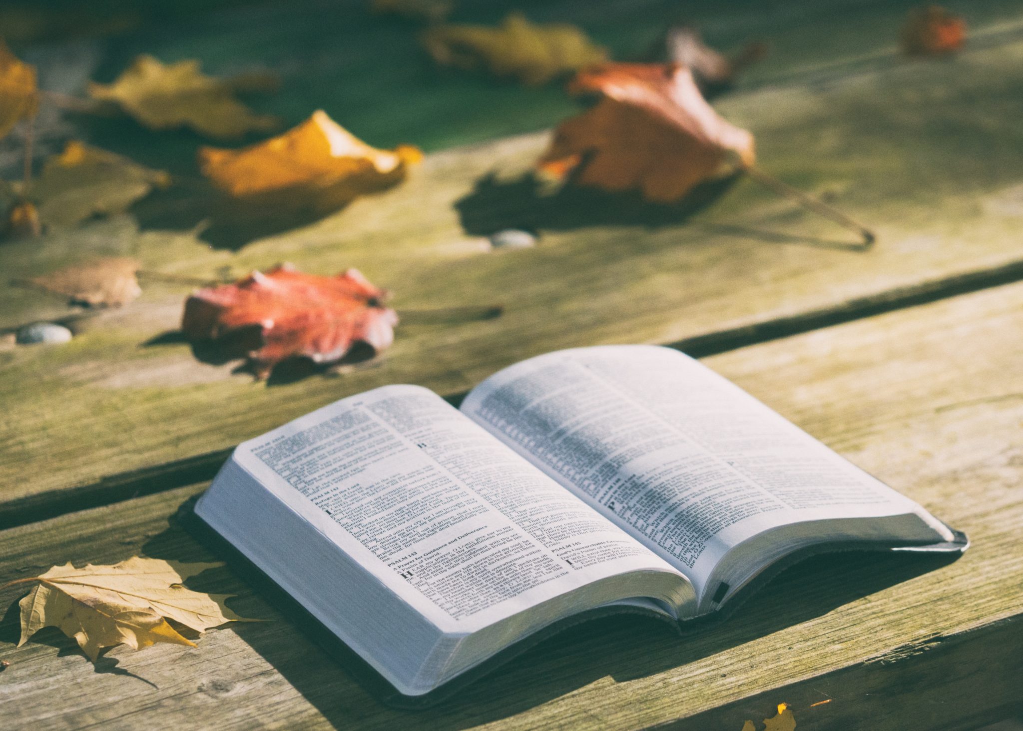 Conviction & Courage: 500 Years After the Reformation