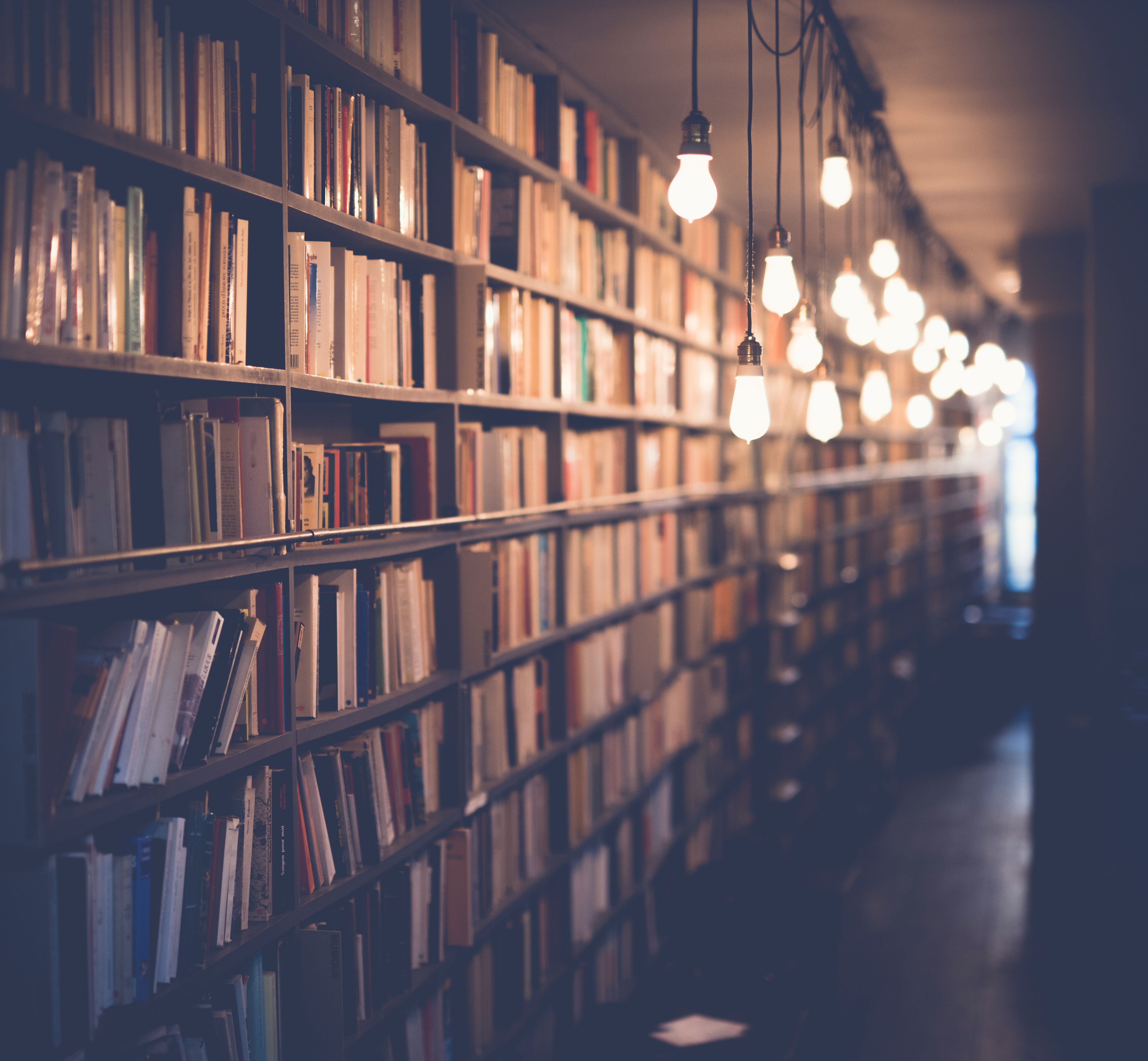10 Books to Give & Receive This Christmas